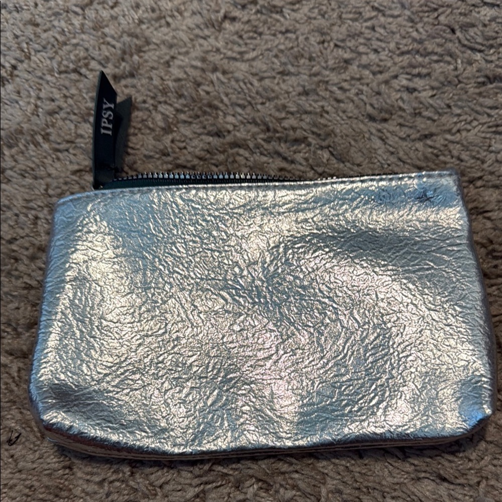 Ipsy Metallic Silver Makeup Bag